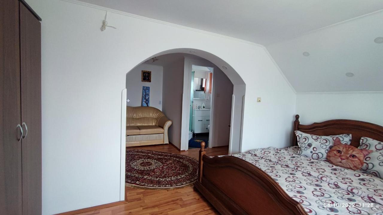 Dariamaf Apartment คัมพูลุง โมลโดเวเนสค์ ภายนอก รูปภาพ